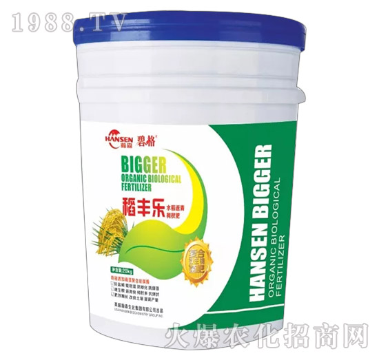 ���S��(l��)-�̸�-�ɭ�r(n��ng)�I(y��)