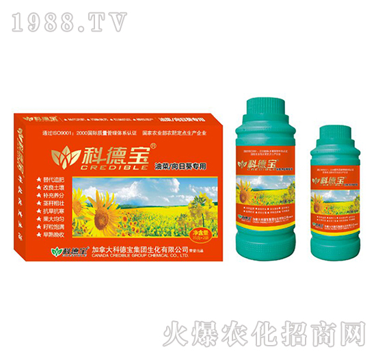 �Ͳ������տ����àI�B(y��ng)���a(ch��n)�{(di��o)�턩-�Ƶ�