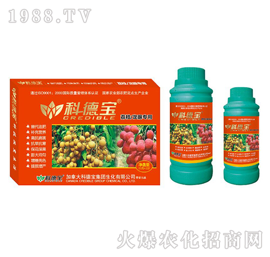 ��֦�����ی��àI(y��ng)�B(y��ng)���a(ch��n)�{(di��o)�턩-�Ƶ�