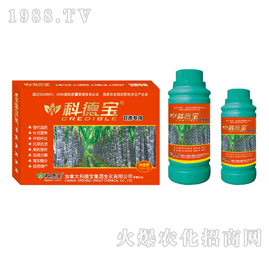 ���ጣ�àI(y��ng)�B(y��ng)���a(ch��n)�{(di��o)�턩-�Ƶ�