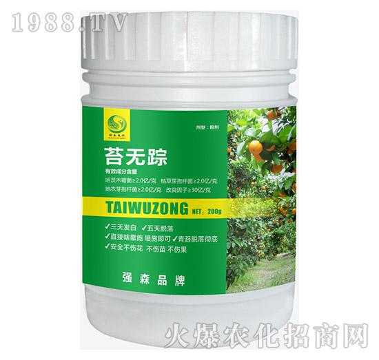 ̦�oۙ-��(qi��ng)ɭ�r(n��ng)��