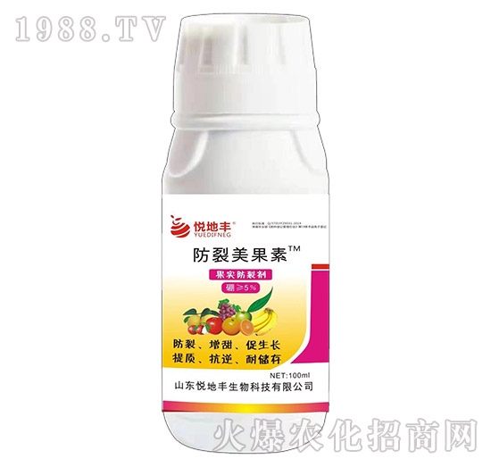 ����������-�������ф�-�����S