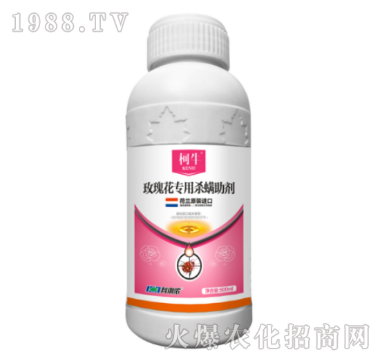 õ�廨��(zhu��n)�Ú�������-����-�����r(n��ng)