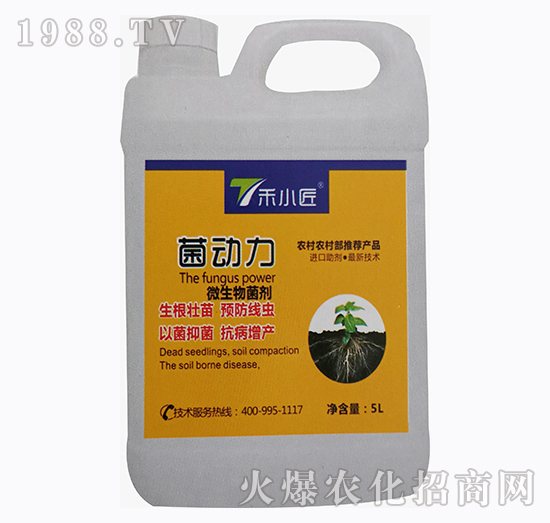 ΢�������-������-��С��-��֮��