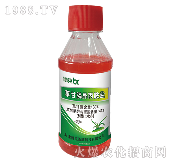 41%�ݸ�좮������}-���˰ل�