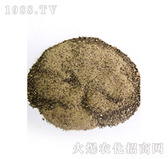 ø�⺣��ԭ��-���º���