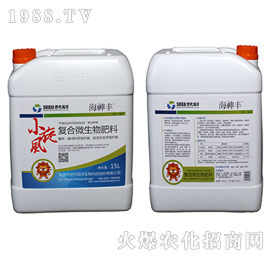 �ͺϷ�΢�������-С���L-�ι���