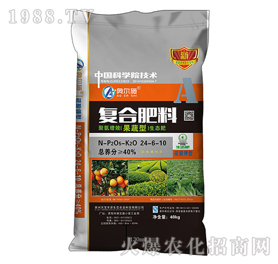 �����͏�(f��)�Ϸ���24-6-10-�쌚�S