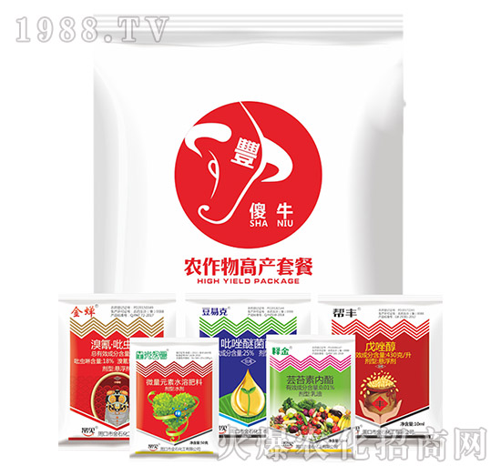 �r����߮a�ײ�-ɵţ-��ʯ����