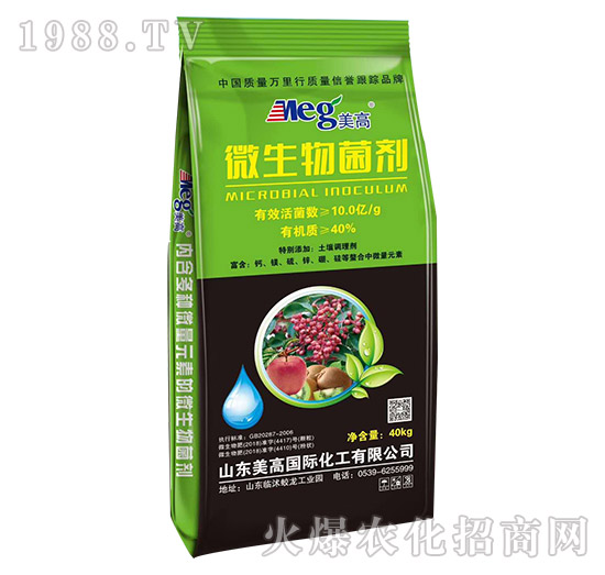 ΢�������-����