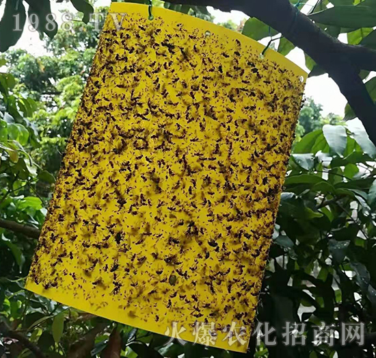 ճ�x(ch��ng)��-�����S