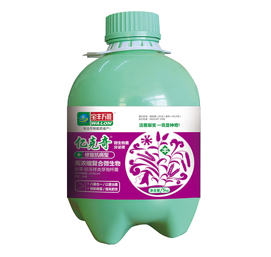 �ޏ�(f��)������-�|����-���S�f¡