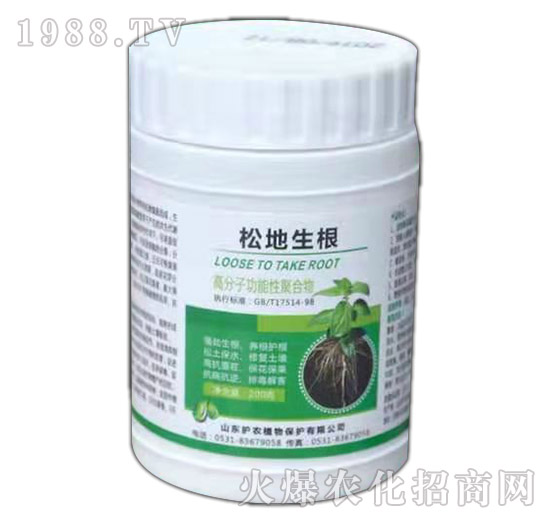 �͵�����-�o�r