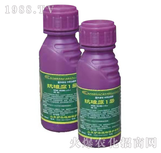 ������1̖(h��o)-�o(h��)�r(n��ng)