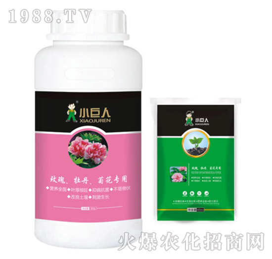 õ����ĵ�����ջ������{(di��o)��(ji��)��-С����