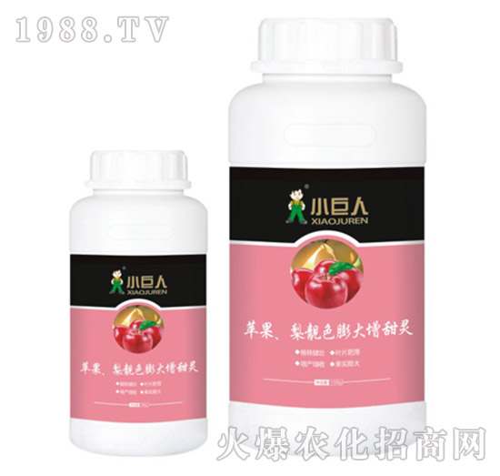 �O�������nɫ��������`�{(di��o)��(ji��)��-С����