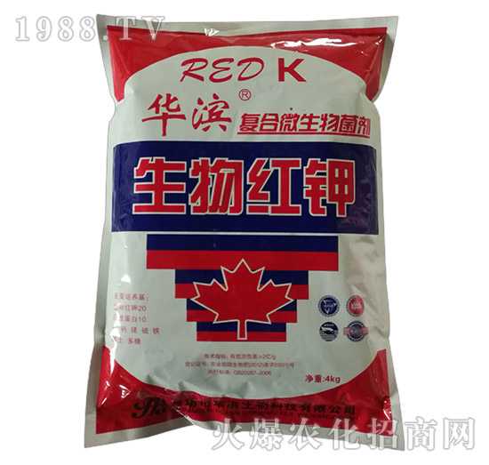 ����t�-��(f��)��΢�������-�A�I