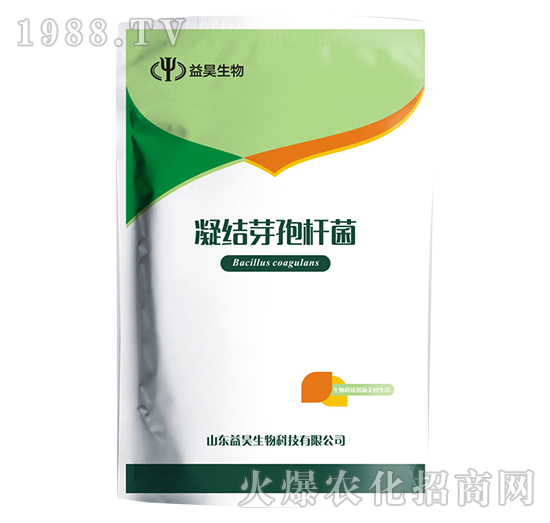 ���Yѿ�ߗU��-�������