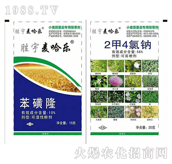 �������M��-�K�ƻ���