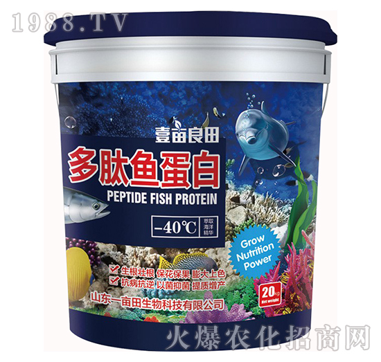 �����~(y��)����-Ҽ������