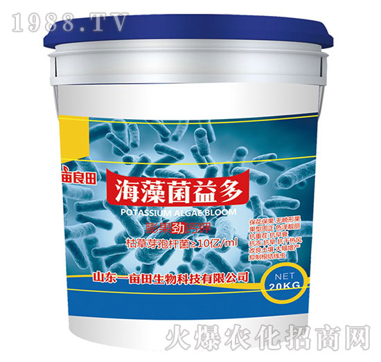 ��������-Ҽ������