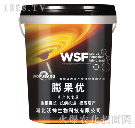 �����(y��u)-��������