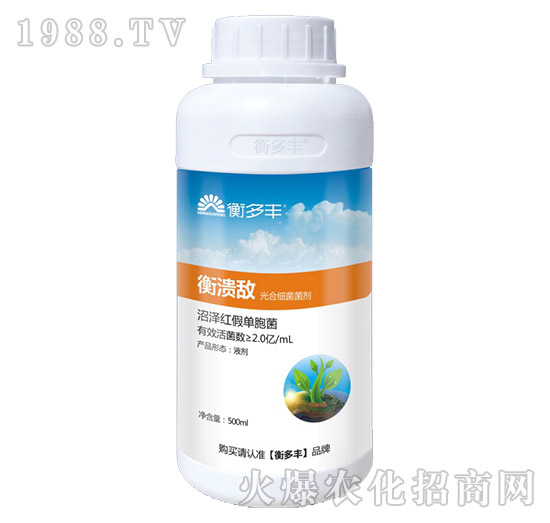 ��ϼ�������-�❢��-����S