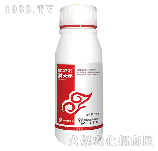 50��ÿ��������-�M����-���˹����r��