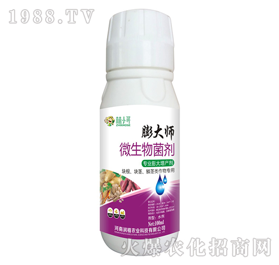 ΢�������-���-ֲС��-��(r��n)ֲ