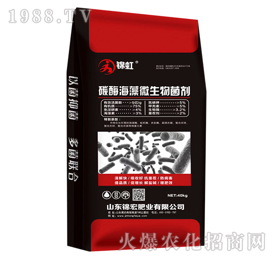 ̼ø����΢�������-�\��-�\��ʘI(y��)