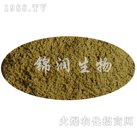 ����ù�P(p��n)����-�\��(r��n)����