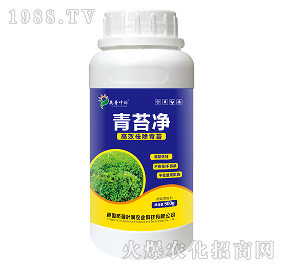 ��̦��-Ӣ���~��(r��n)