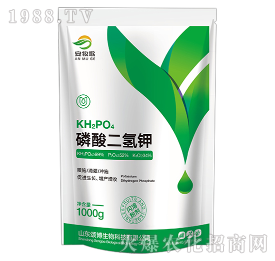 ��������-������-ힲ�����