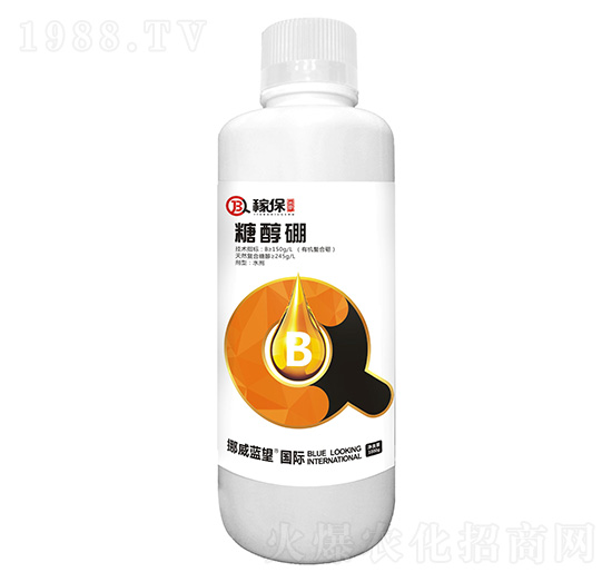 �Ǵ���-�ڱ�-�{��