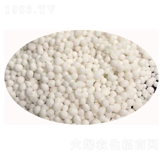 ���������30-0-5-��ʢ��ҫ