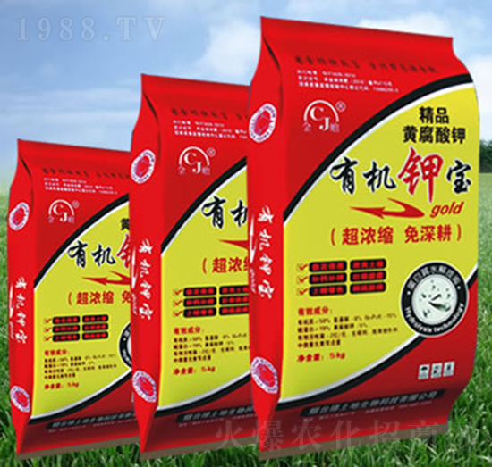 �ЙC⛌�-�G����