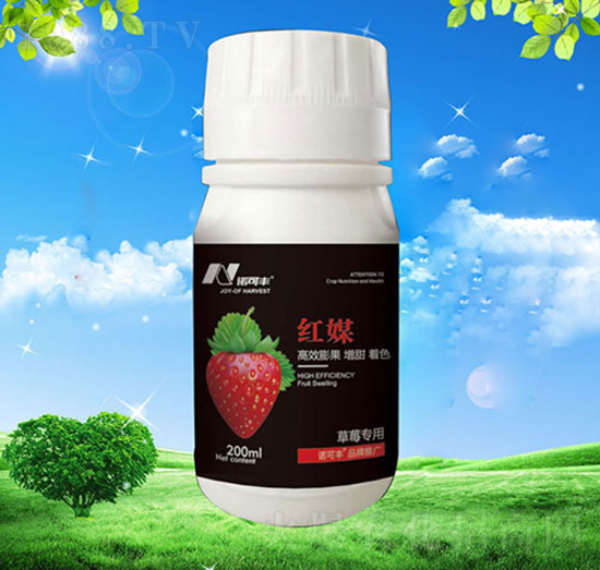 �tý��ݮ����-�Z���S