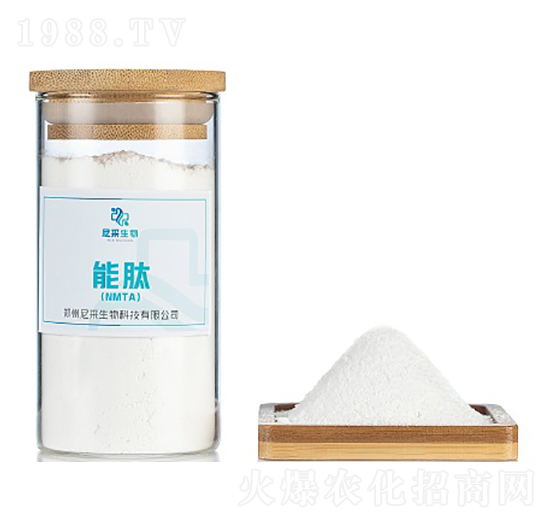 ���ģ�NMTA��-�������