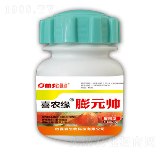 ��Ԫ��-ϲ�r��-�W��ɭ