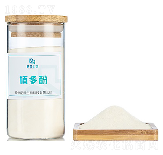 ֲ���-�������