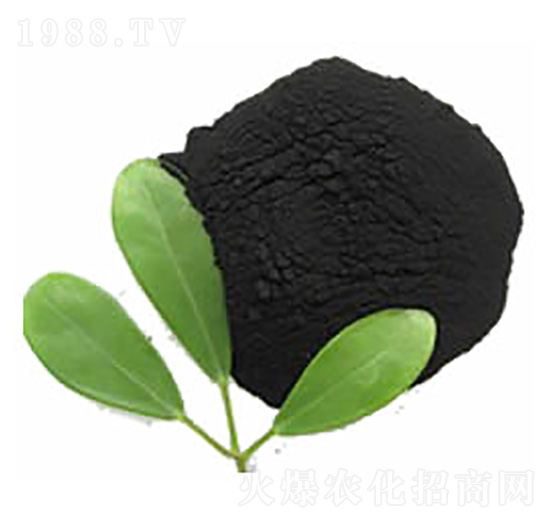 ����(x��)��ֲ��-�����ʘI(y��)