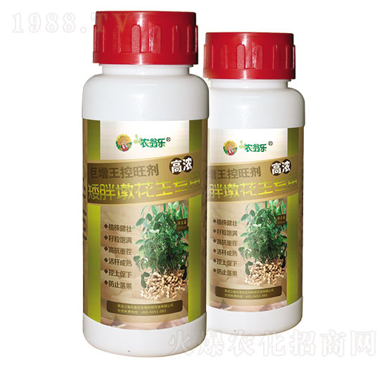 С�ֶջ�������-������������-�r(n��ng)�̘�