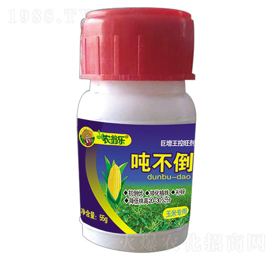 ���׌�(zhu��n)��-������-�r(n��ng)�̘�(l��)