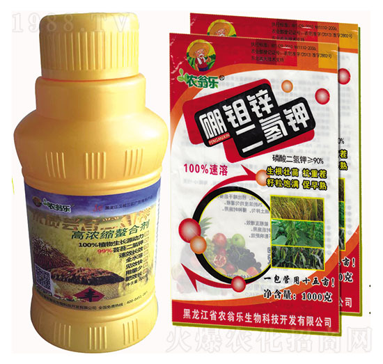 �|̦�����+���f�\�����-�r�̘�