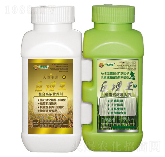 �������󶹌���-�r�̘�