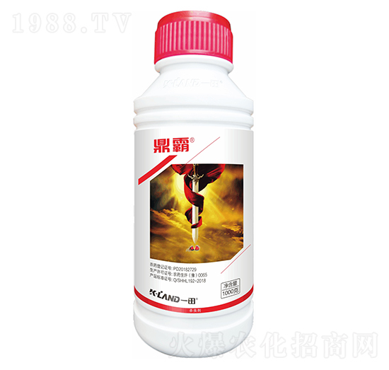 110��ÿ��������-����-һ������