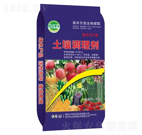 �����{�턩-��@���S-���S�ʘI(y��)