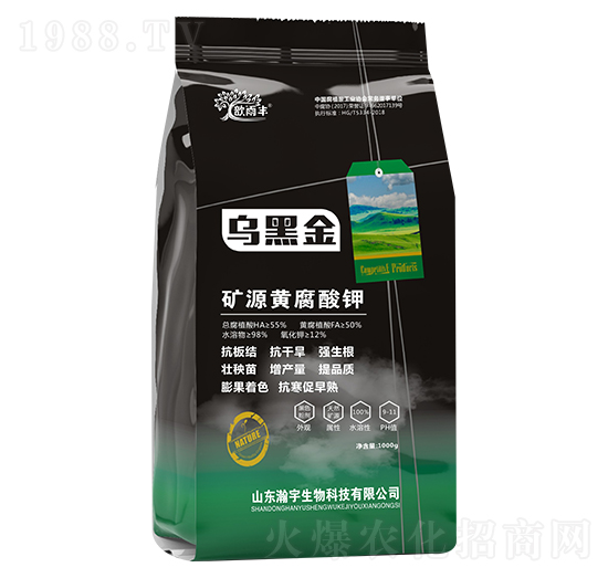 �VԴ�S�����-���ڽ�-�������