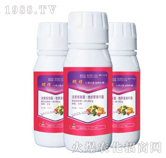 �������߾�������ѿ�ߗU��-�x��-����ֲ��