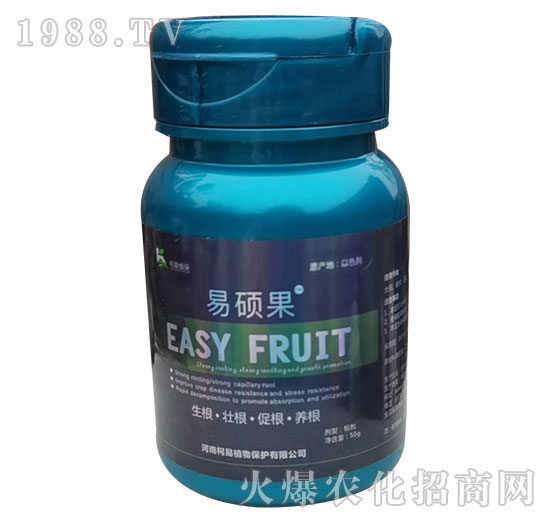 �״T��-����ֲ��